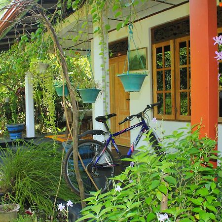 Nature Night Homestay Sigiriya Eksteriør bilde