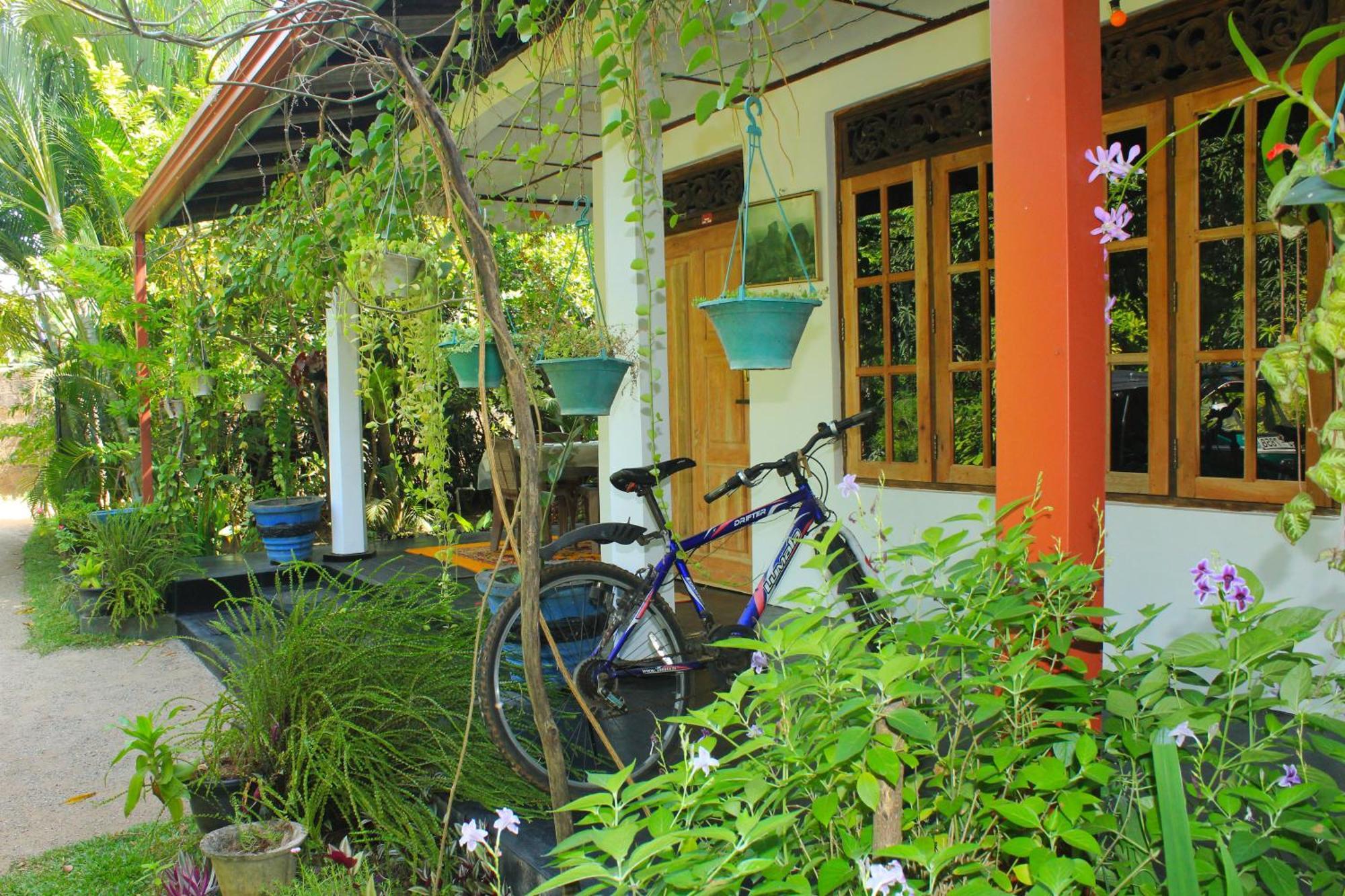 Nature Night Homestay Sigiriya Eksteriør bilde