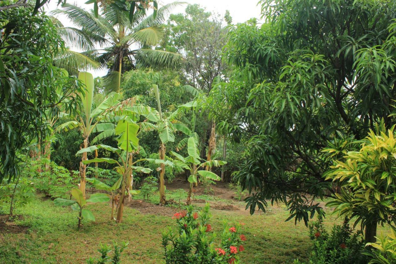Nature Night Homestay Sigiriya Eksteriør bilde